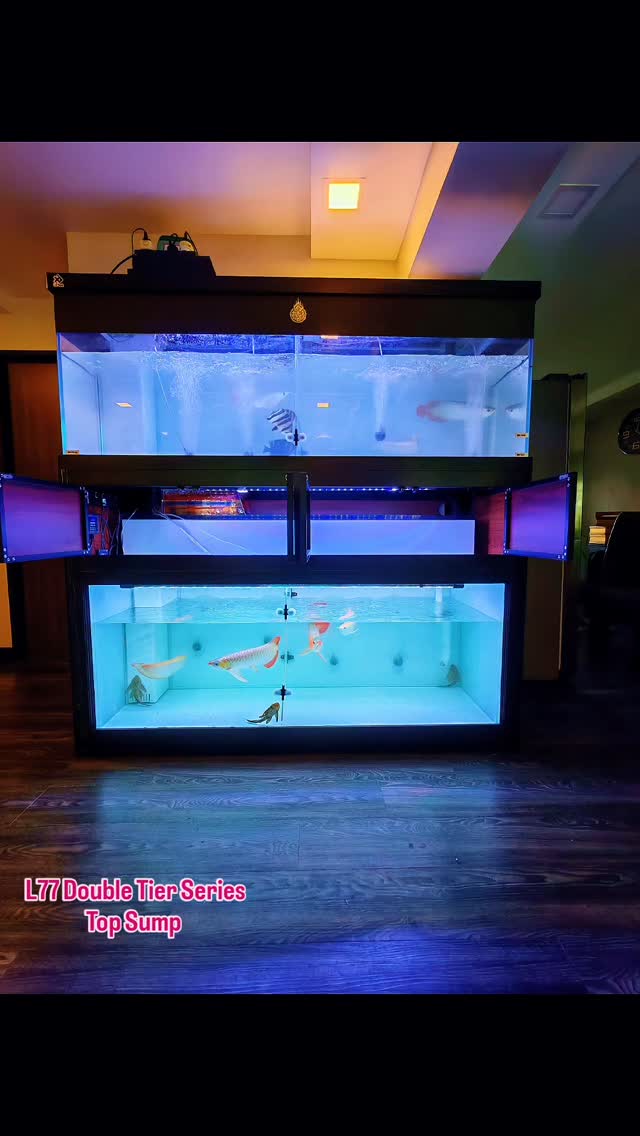 Recently Delivered 😇 180cm x 60cm x 60cm L77 Custom Double Tier Tank ...