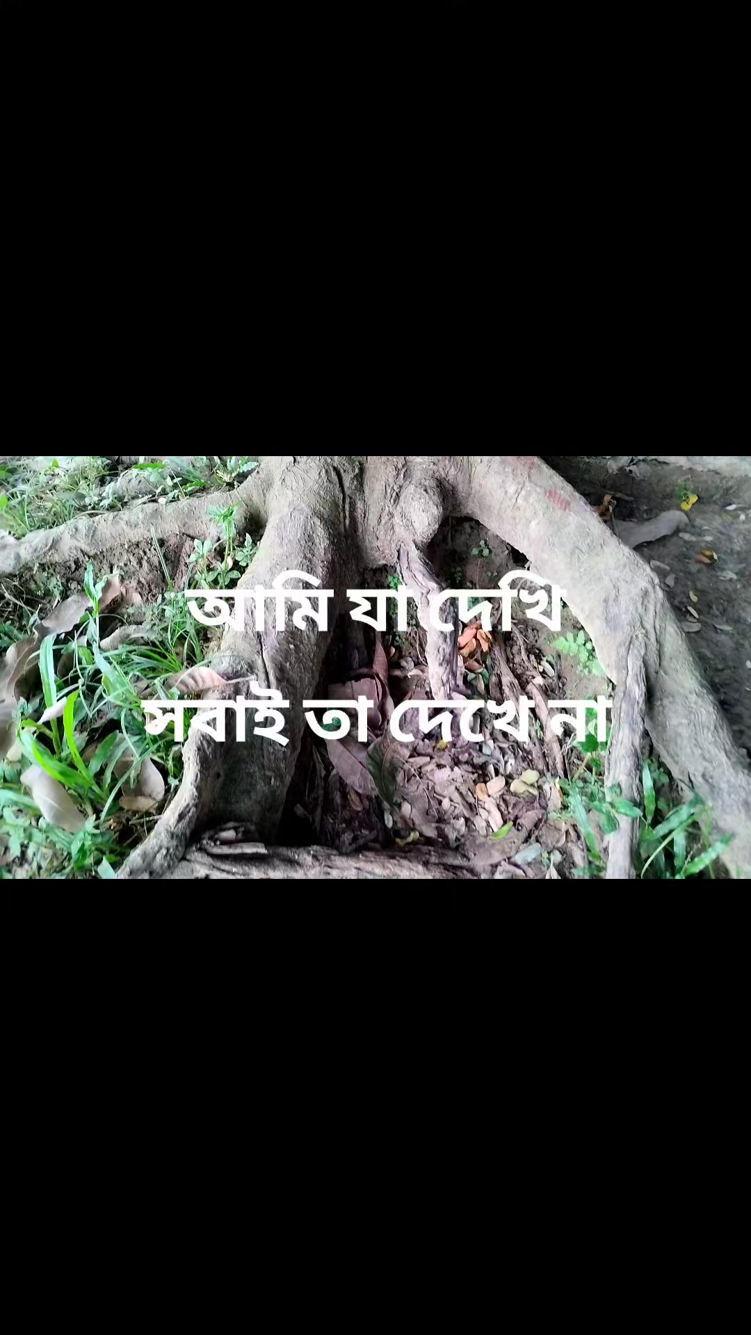 Robiul Alam Robi