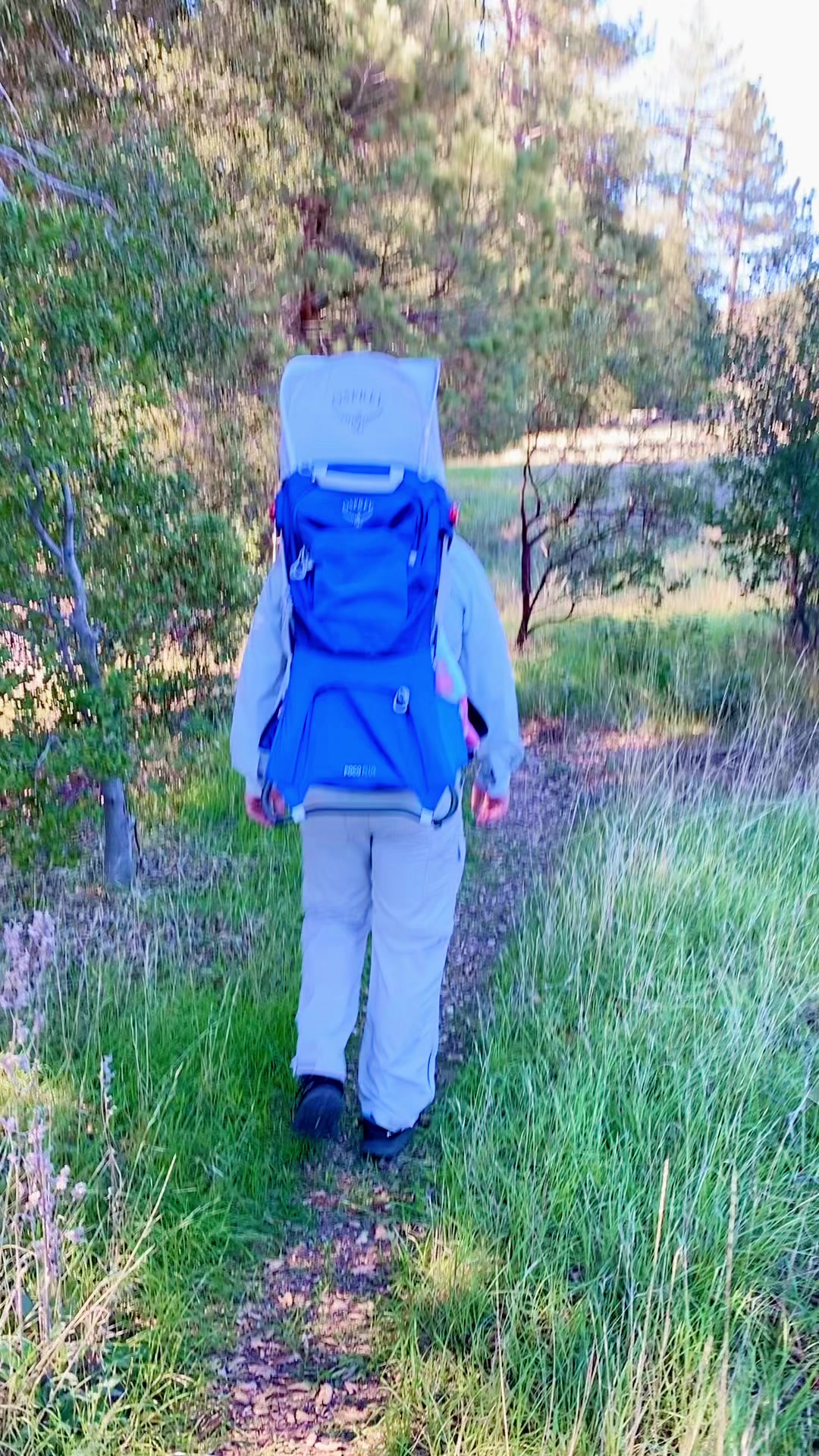 best backpack for hiking with cat Carrier Travel & WEEKEND U.S. Shell Fish Net Color:Blocked Gray including fit