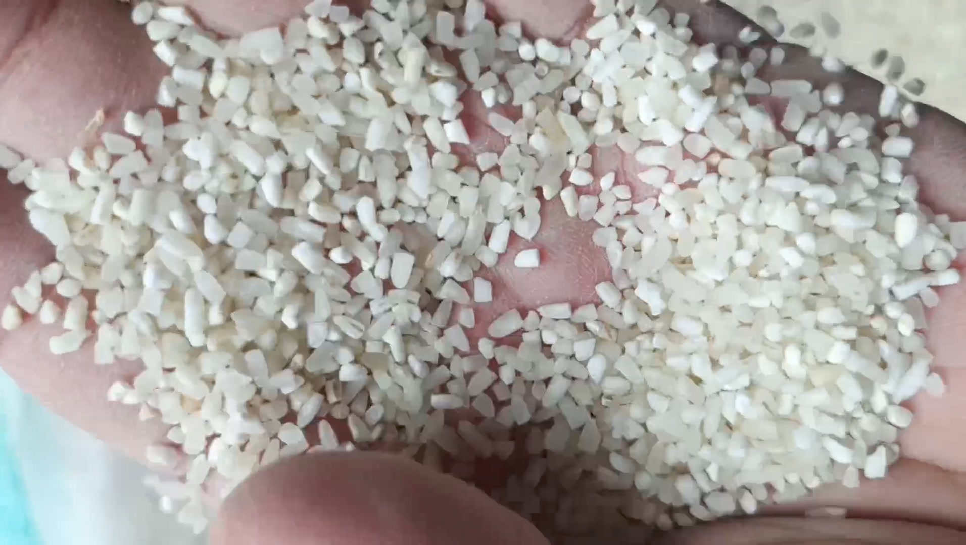 Baloch Rice Trading & Brokarage