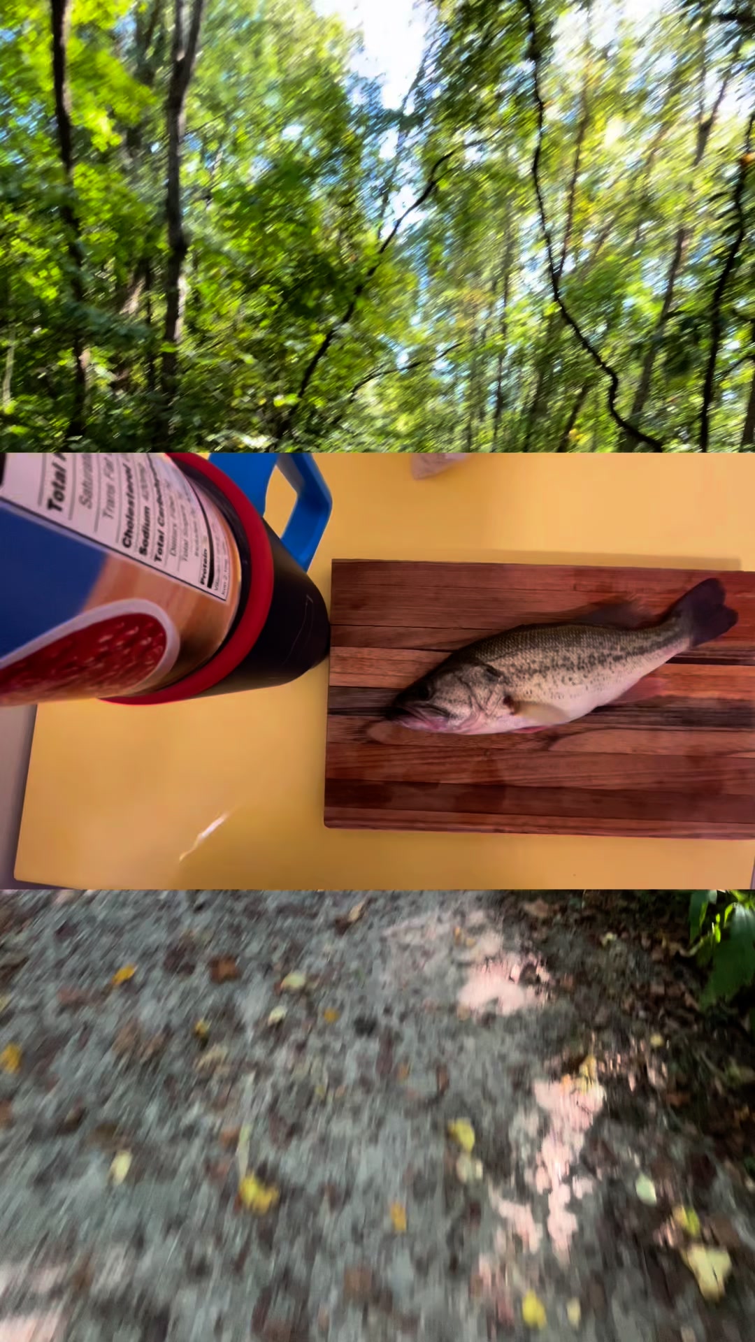 Today’ tip: cast around the rocks with cut shad while the wind is being ...