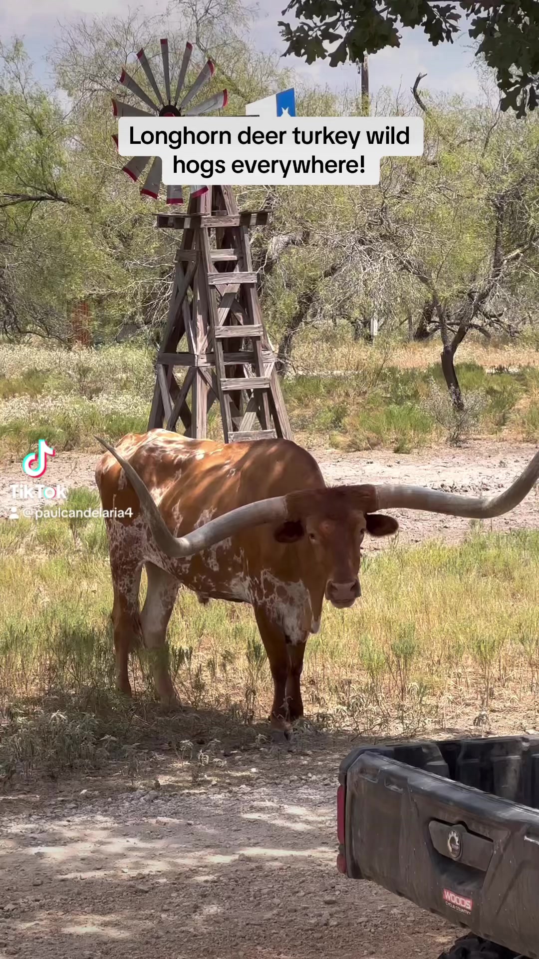 Independence Ranch on Reels | Facebook