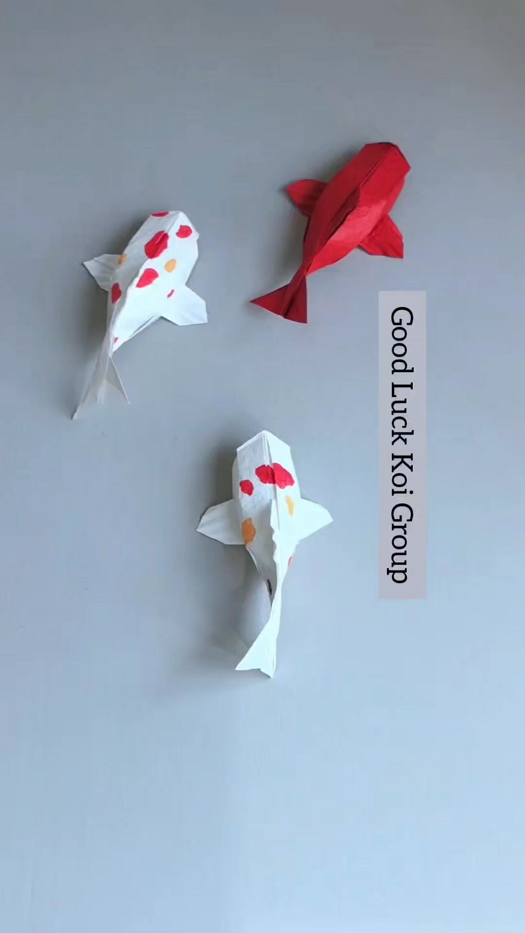 Good luck koi origami, detailed tutorials, may all the New Year ask for ...