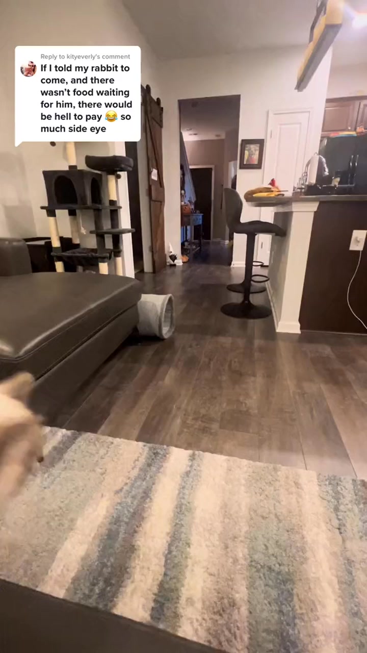 Replying to he was frantically sniffing for the treat that wasn’t there ...