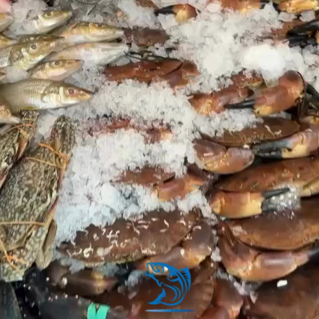 🐟 Be the First to Get Fresh Fish! 🐟 Why settle for less when you can ...