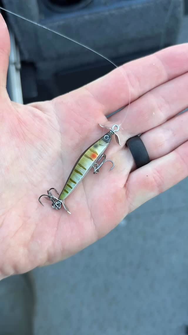 Eurotackle Z-Spender 2" Suspending Jerkbait - 1/8 Oz Micro Lure For Crappie, Trout, Bass