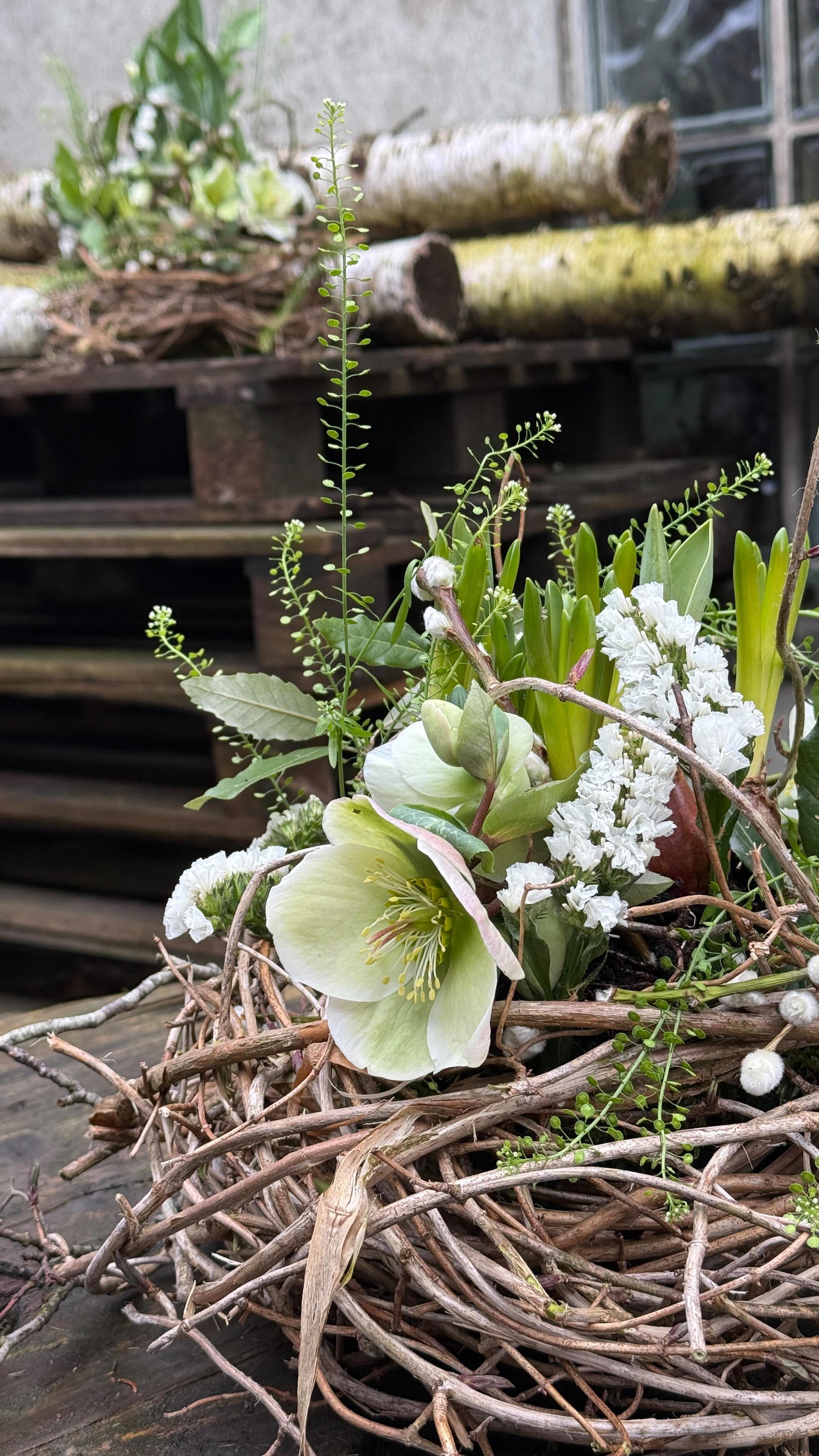 Ein GRABGESTECK, …mit frischen Blumen und Zwiebelpflanzen., Die frischen Blüten bringen sofort Farbe., Was danach bleibt, wächst weiter und blüht auf., Die Zwiebeln können später einfach auf das Grab