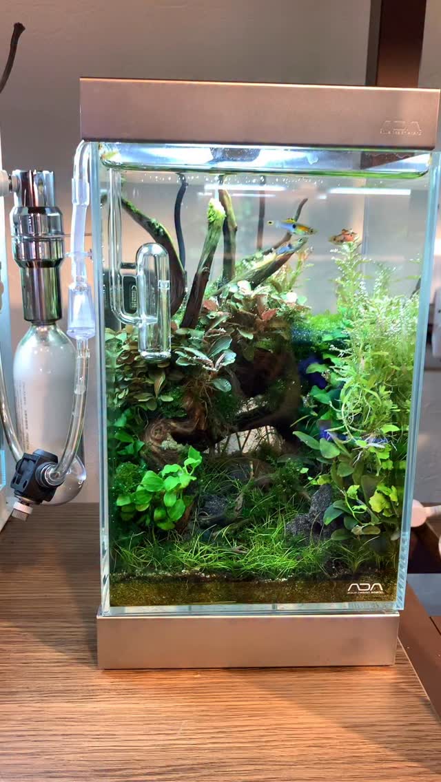 ADA DOOA nano aquarium system for aquascaping