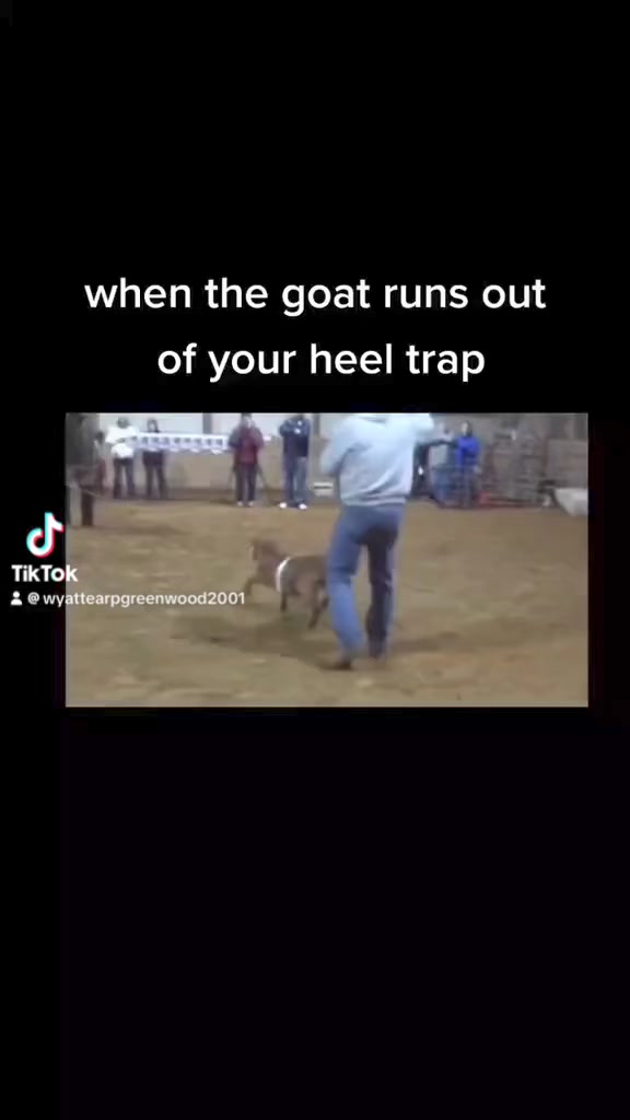 Goat Roping memes