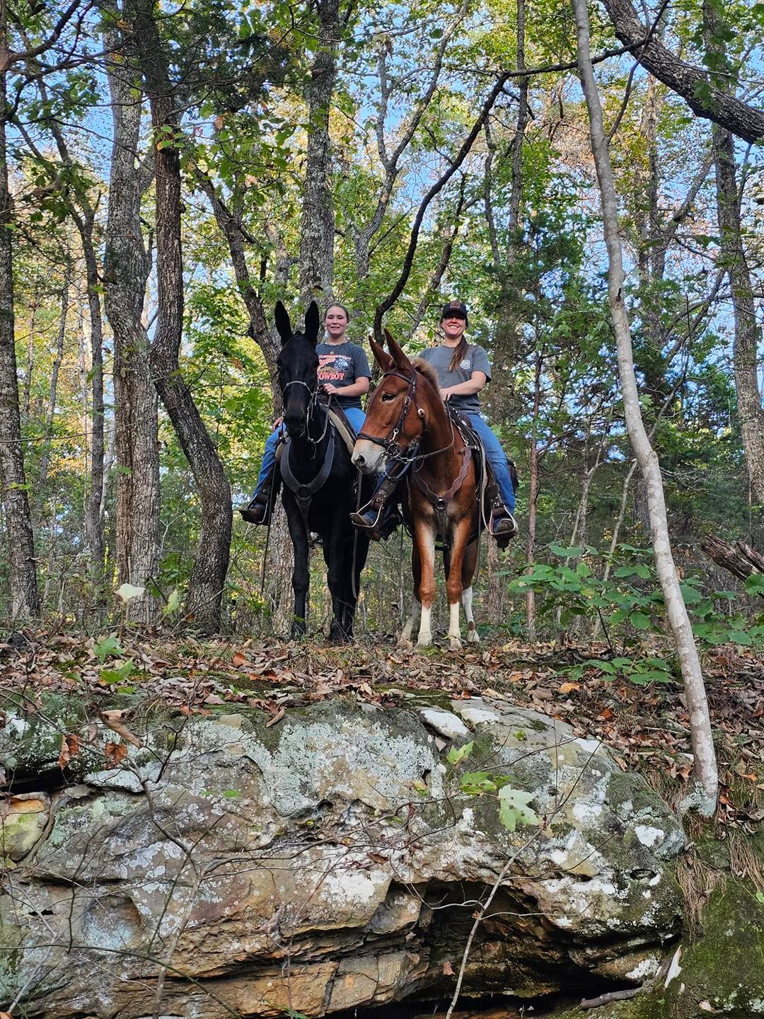 She's pretty, she's cool, she rides a gaited mule🤘 Paisley showing off ...