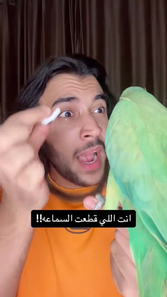 الببغاء قطع السماعة 😂 #علي_فؤاد #ببغاء #ببغاء_متكلم #ببغاء_يتكلم # ...