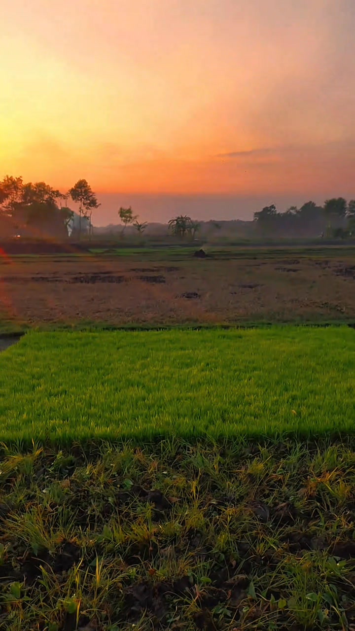 হারাম খাওয়া সহজ 🌸 . . . . . . . . . . . . #rs_robiul_333 | R S Robiul ...