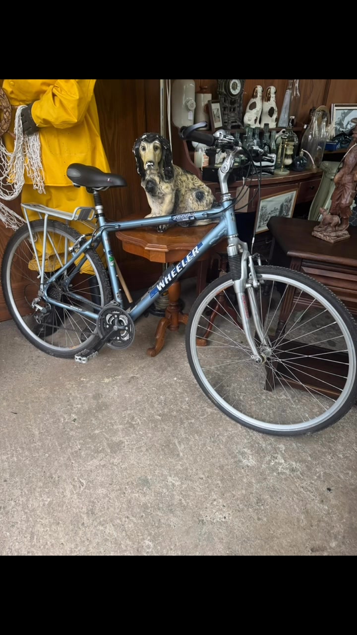 damenfahrrad hellblau ZÜNDAPP Den HAAG 28 Zoll | Retro Damen Fahrrad mit tiefem Einstieg und 3 Gang Nabenschaltung | City Bike 155-175 cm Herstellerfarbe:Blackline Ron Perduss | Wie Cityräder