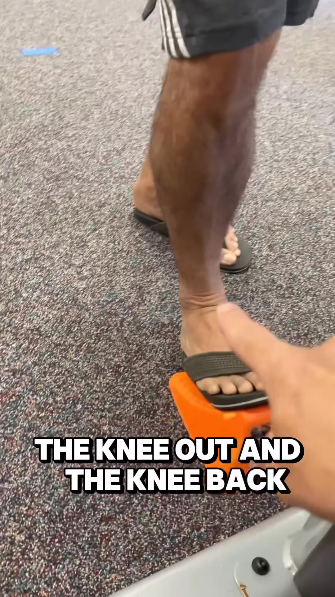 Tibial Rotation and the Screw-Home Mechanism 🦵 . In this video, the ...