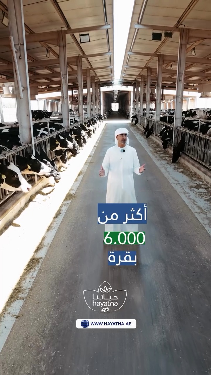 Hayatna Fresh | Al Ain