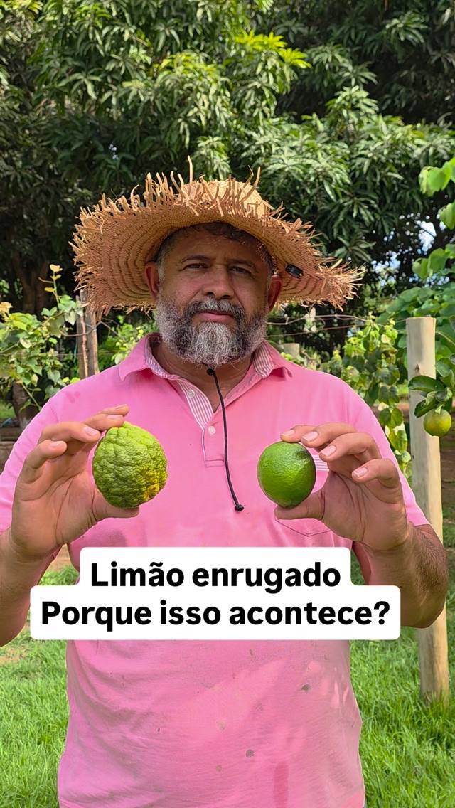 Essa é uma das características de deficiência de nutrientes