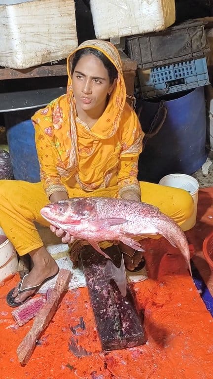 Amazing many big fish cutting #bigfish #cutting #fishing #fish 14 ...