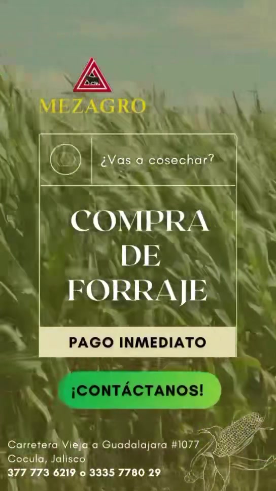Mezagro | Cocula