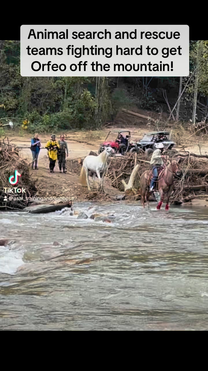 In 10/2/24 ASAR teams fought creeks, rivers, and washed out roads to ...