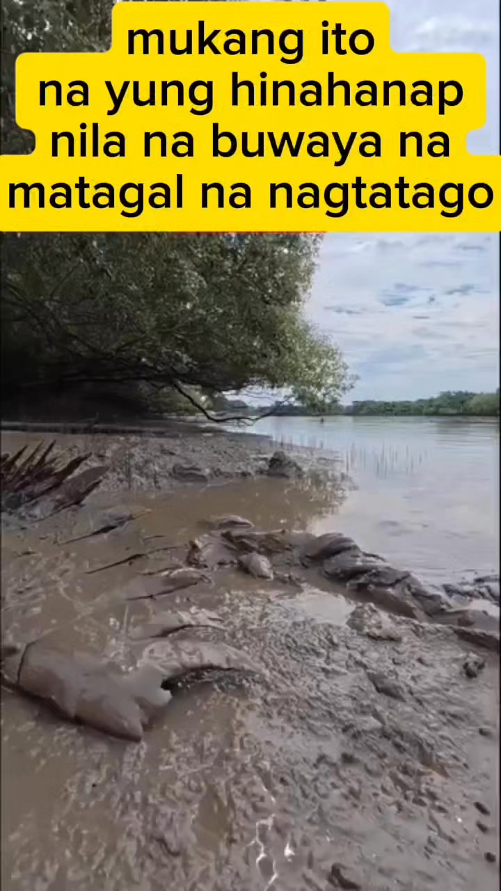 Mukang ito na yung hinahanap nila na buwaya. | Locong Gagayagaya | Facebook