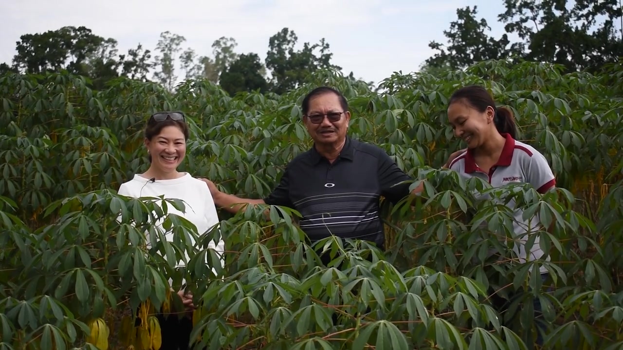 A Cassava Company In The Bangsamoro Heartland Shares Blessings With ...