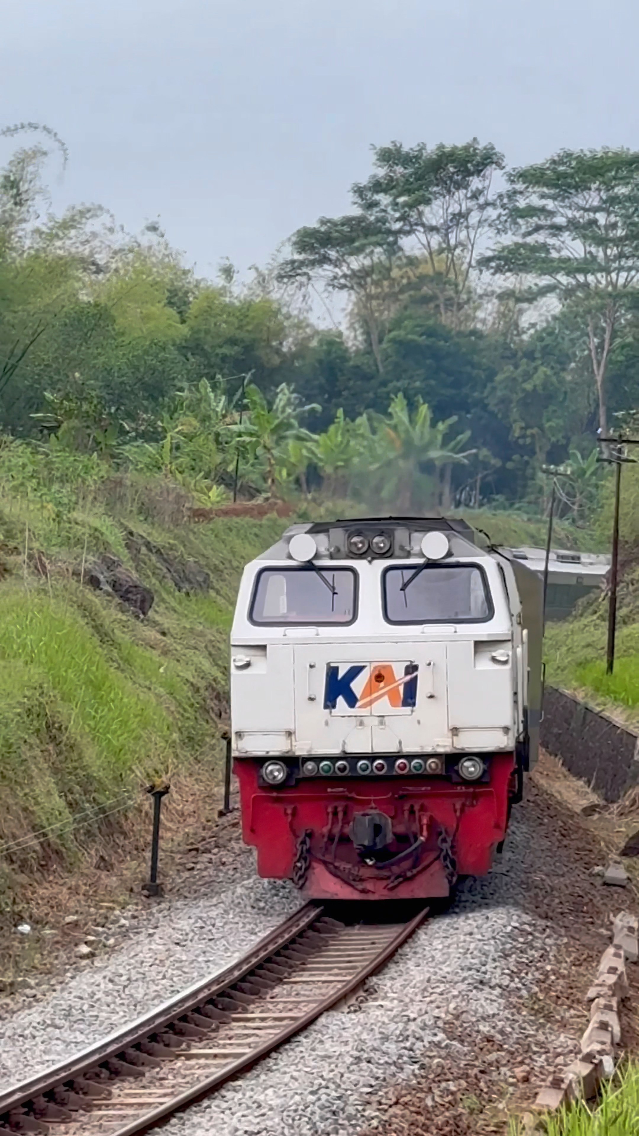 Indah banget 🤩|Liukan Kereta Malabar di sinyal masuk Stasiun ...