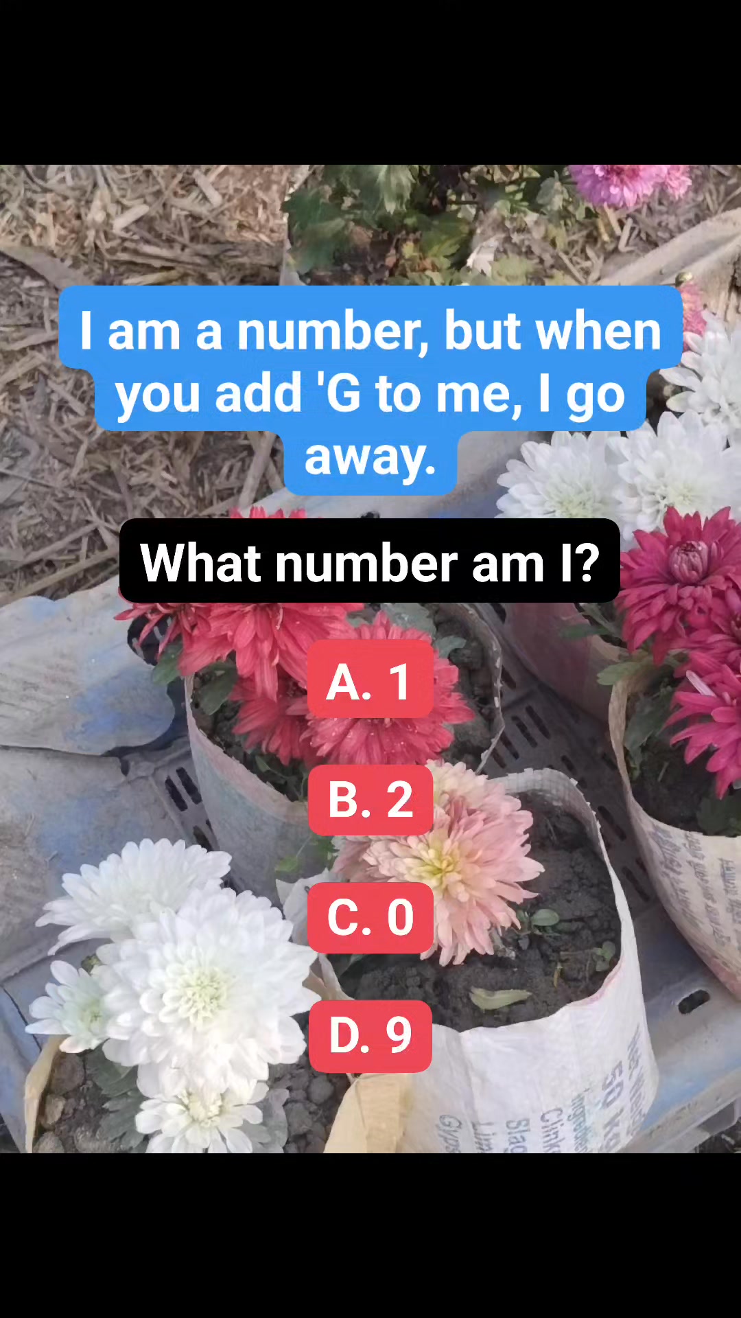 #Riddle #puzzle #reels | Puzzle Point 2.0 | Facebook