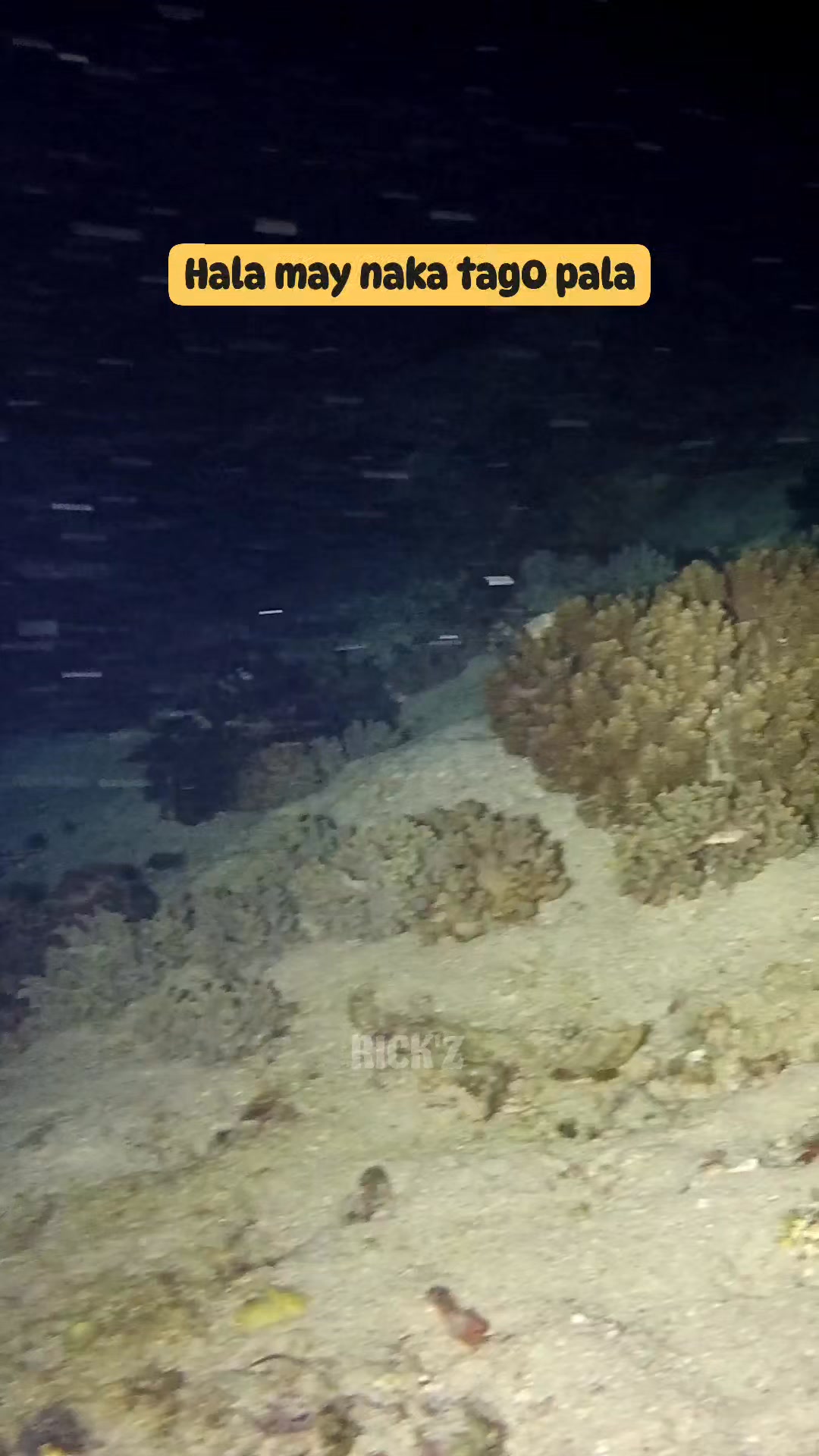 Hala mAy naka tagO pala #viralreels #nightspearfishingphilippines # ...