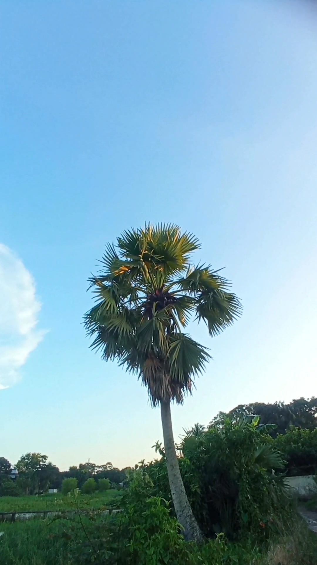 মানুষ তার আমল দিয়ে 🌸 . . . . . . . . . . #rs_robiul_333 | R S Robiul ...