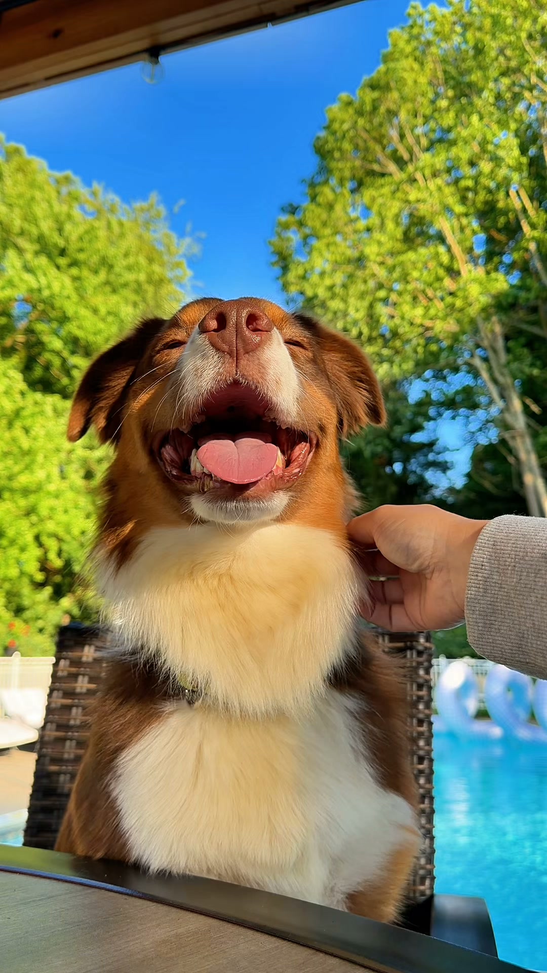 Happy PAWther's Day from little pup Finn and his dad! #TooCute