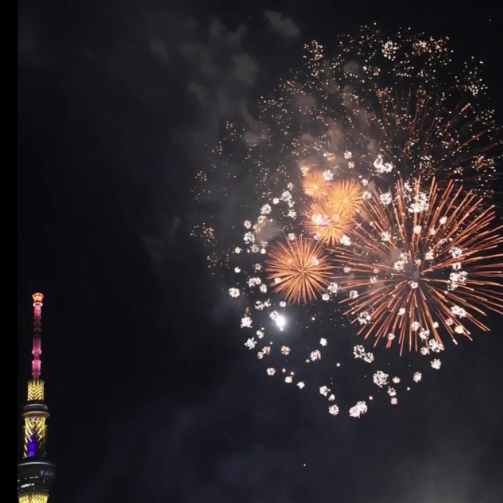 Finale of the Sumidagawa Hanabi Taikai (隅田川花火大会), the