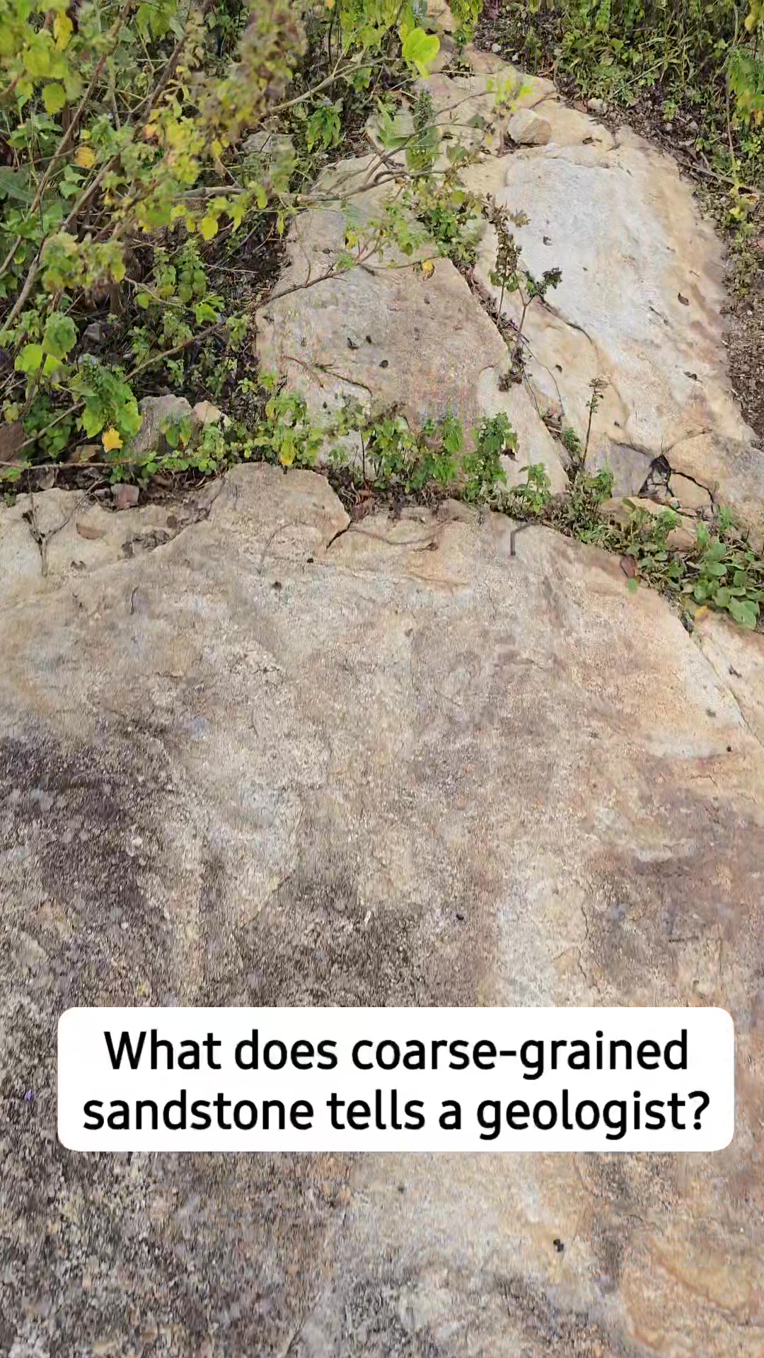 COARSE vs FINE-GRAINED SANDSTONE : What It Tells a Geologist The size ...