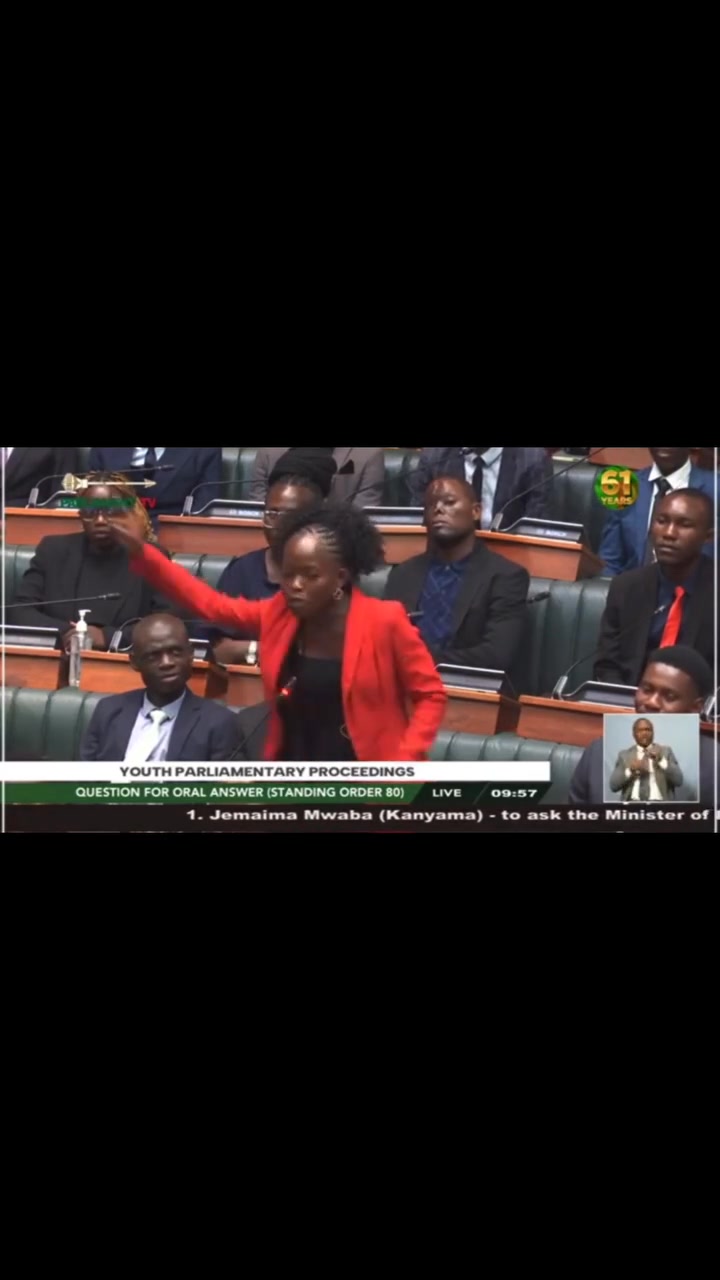 The University of Zambia Student Union -Unzasu vice president Jemimah ...