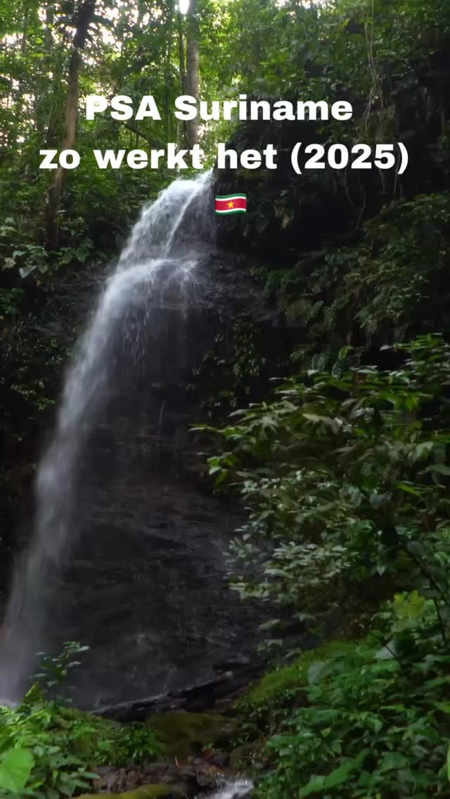 Heb je Surinaamse roots en reis je vaak naar Suriname? Dan is de PSA ...