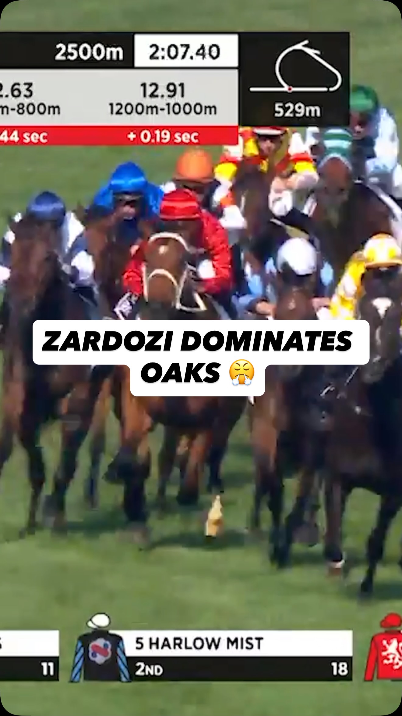 Re-live Zardozi’s dominant 2023 VRC Oaks win as we wish her a happy ...