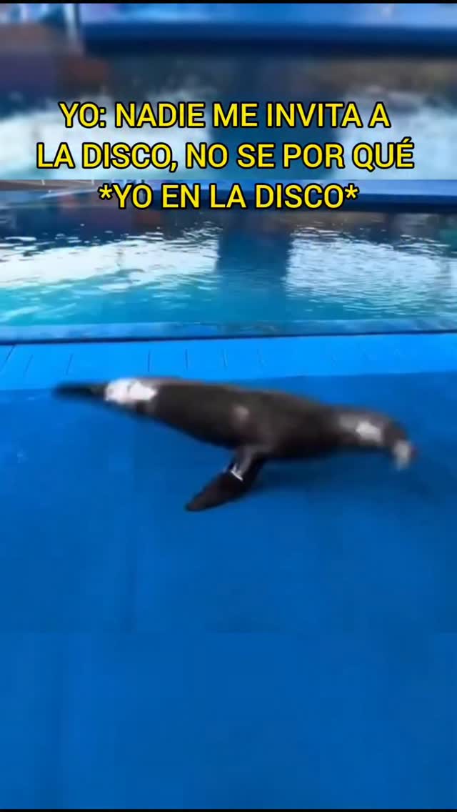 No aguantan el stilo neutrón #azralag90 #humor #memes #reels #meme ...