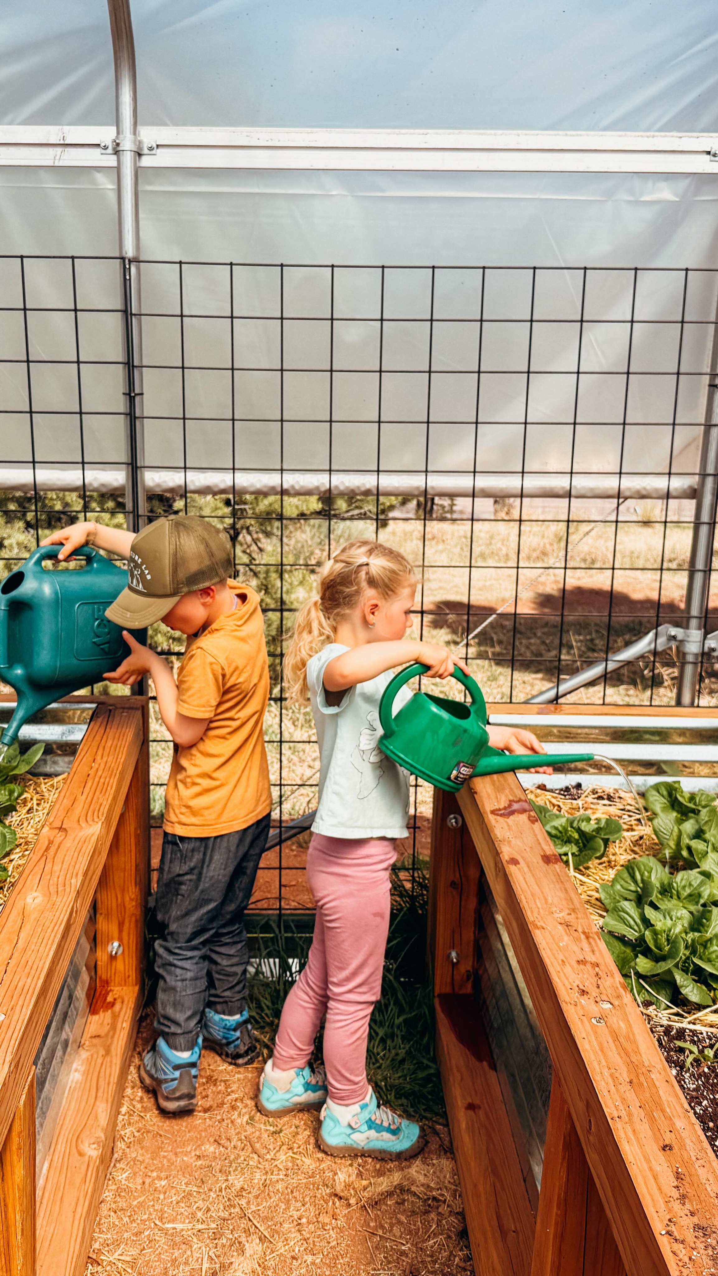 The Nature Lab Farm & Forest School | Manitou Springs CO