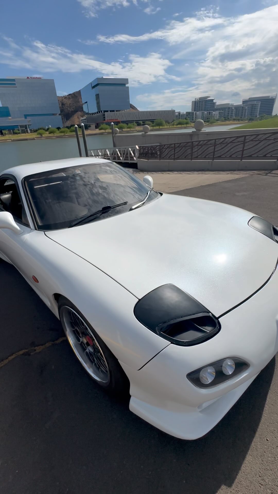 Az_ExoticWrappz | Tempe AZ