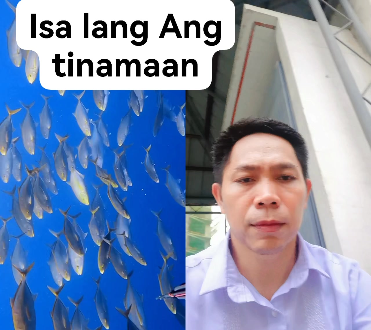 #highlighteveryone Ang sarap yan sa paksiw isdang pototan # | Rio ...