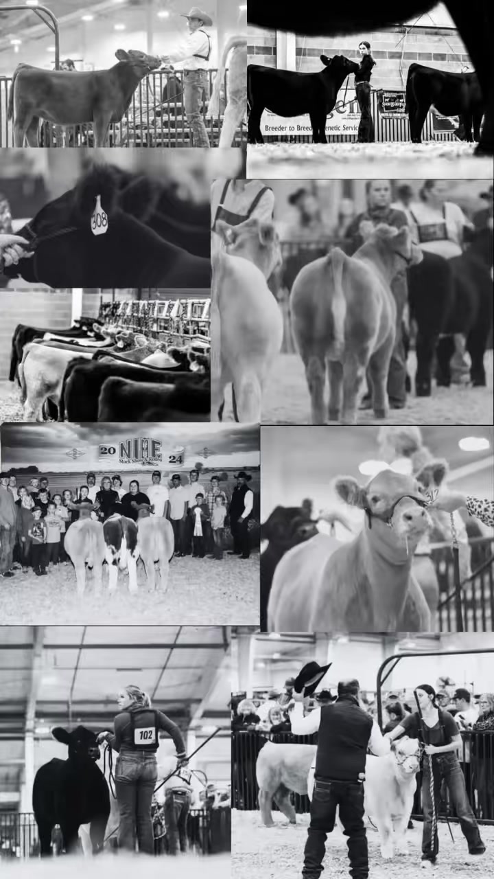 🚨 2025 CLUB CALF SALE 📅 Tuesday, October 12, 2025 | 2:00 PM (MST) 📍 ...