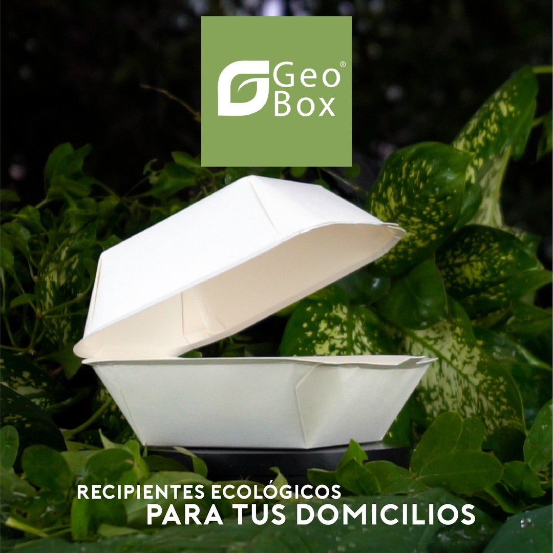 Geo Box biodegradables