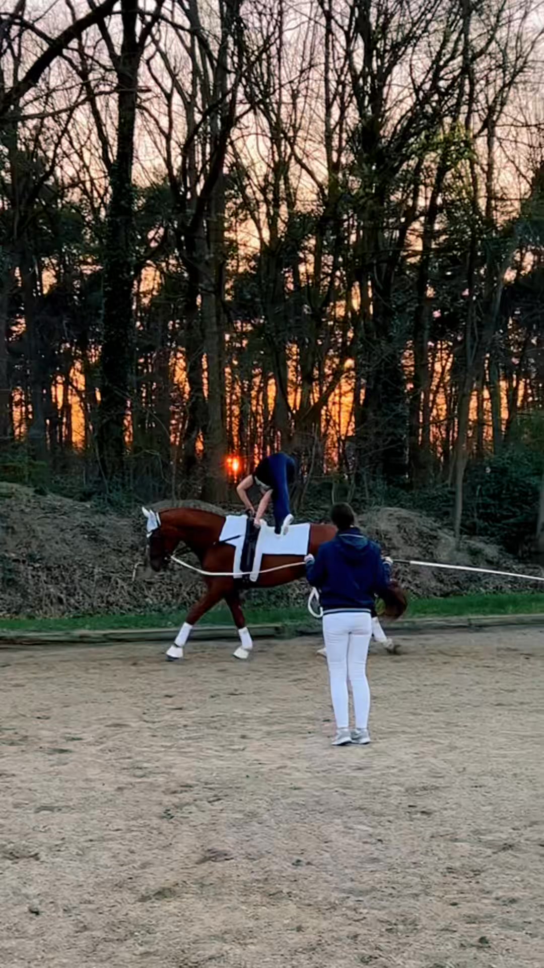 Equitana 2022 RACEWOOD #EquestrianVaulting #monapavetic #FY | Mona ...