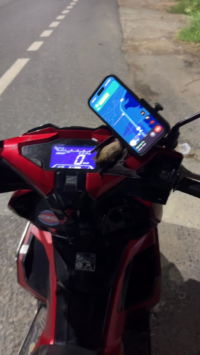 ¿Se ralla un iPhone con un murciélago? Esto sería el título que podría ...