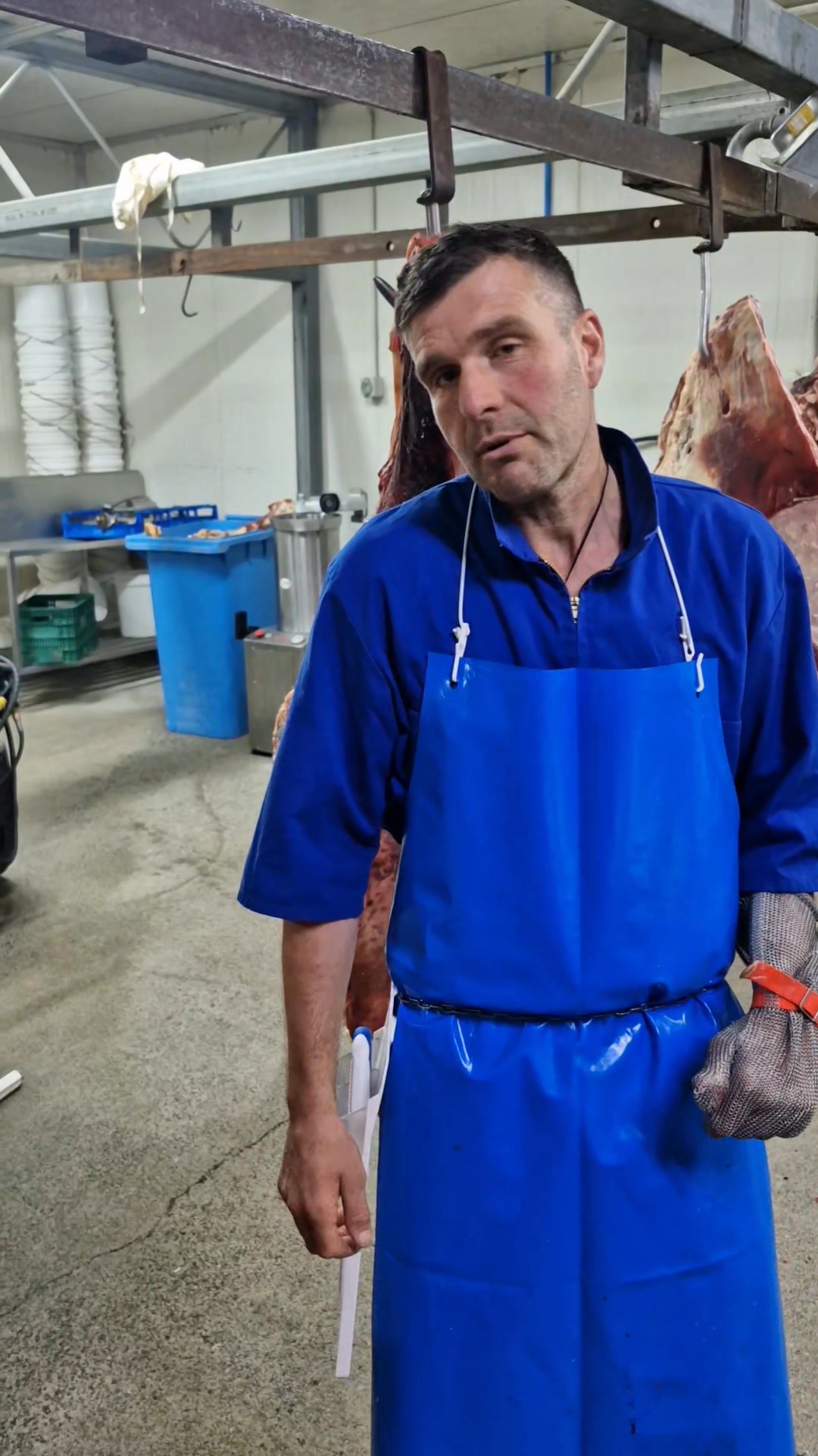 Processing a mercey kill (broken back shank) into steaks and small ...