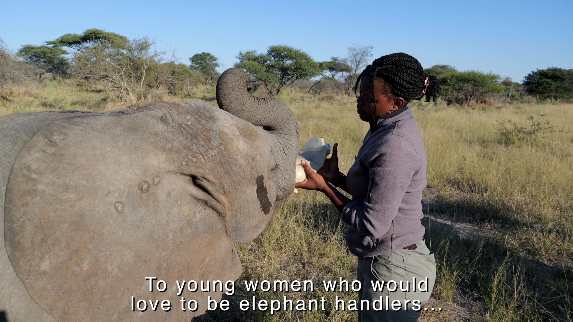 Meet Tshepy, one of the incredible female elephant handlers at Elephant ...
