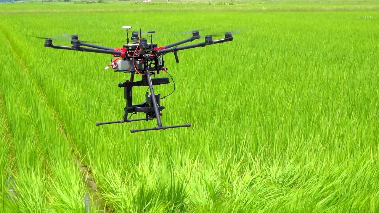 Yanmar and Farm Eye look to optimize rice cultivation using remote ...