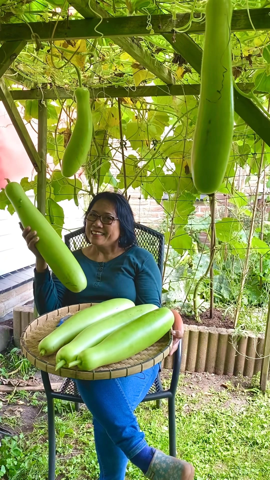 Mga aning organic na upo noong nakaraang summer. Ang sarap uupo sa ...