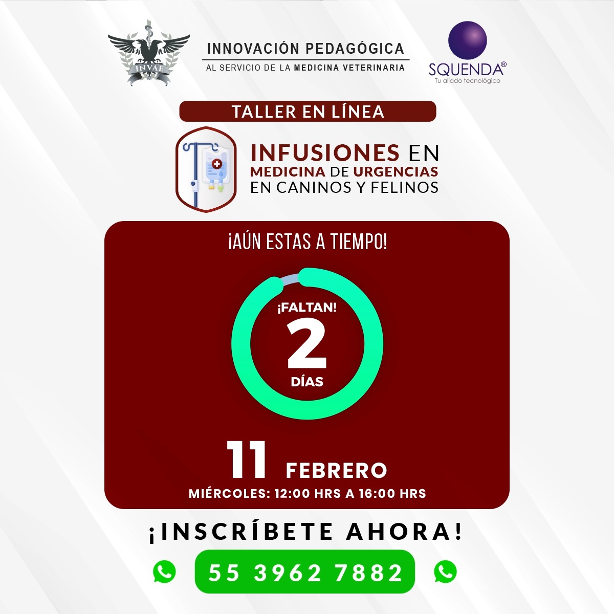 INVAE - La función de la glándula tiroidea se evalúa mediante la ...