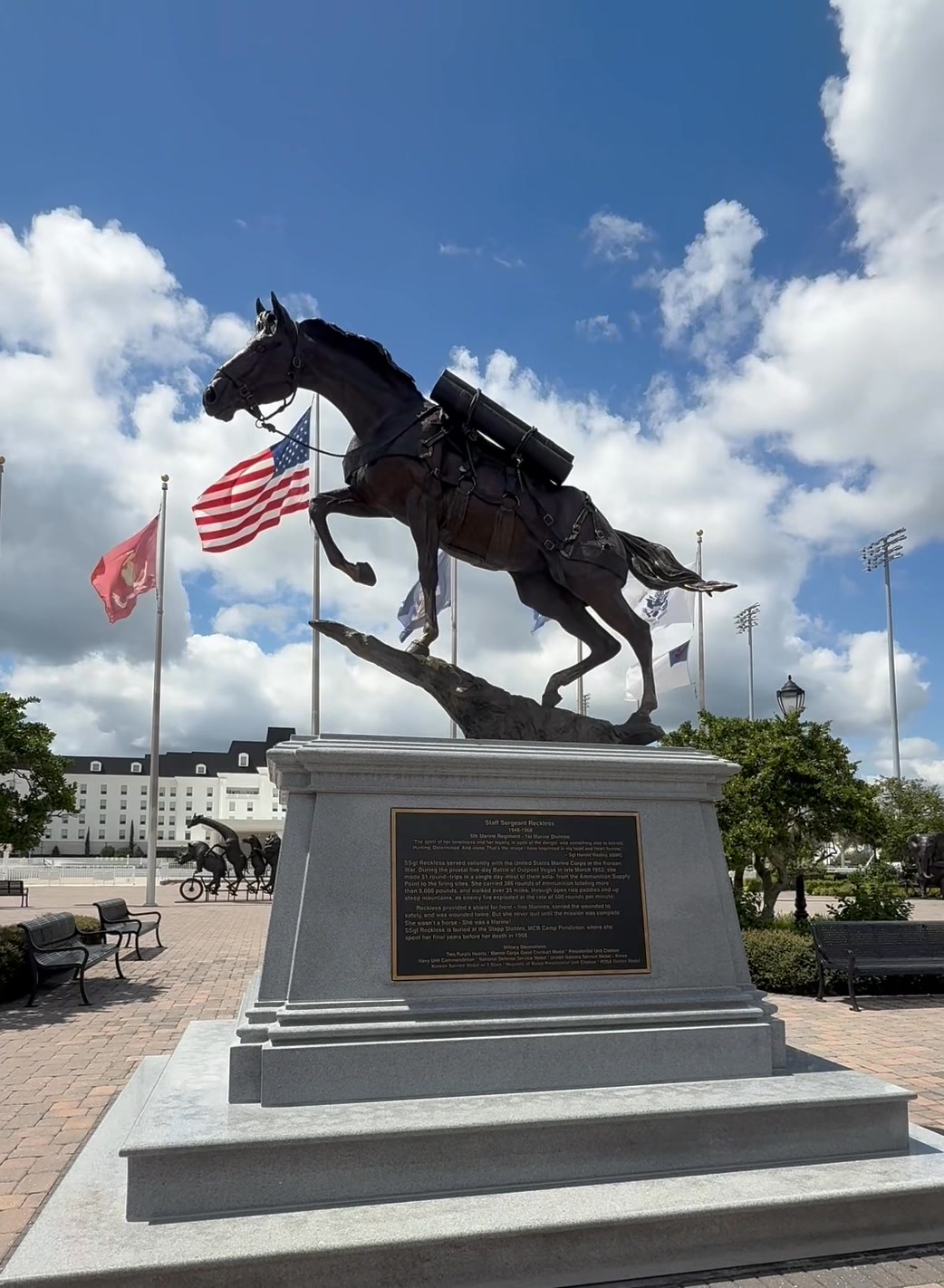 Marine War Horse Staff Sgt. Reckless, A Camp Pendleton Veteran, To Be Memorialized At Kentucky Horse Park