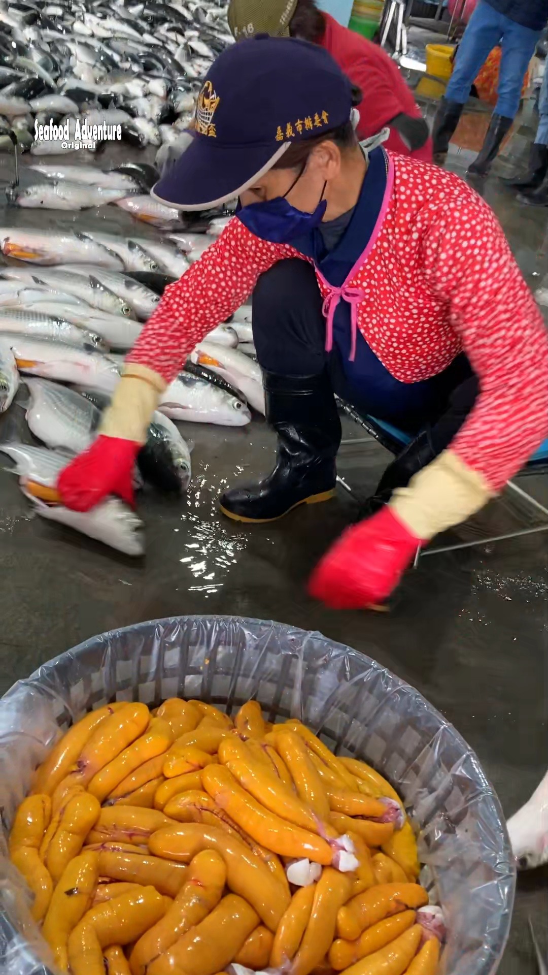 How luxury mullet roe is made from fresh seafood #luxuryseafood # ...
